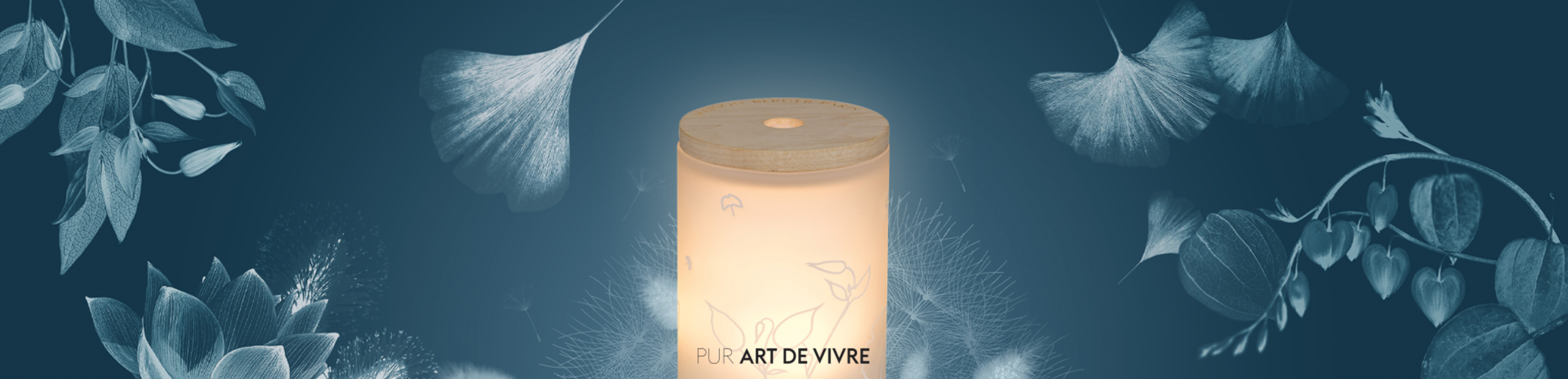 Mist diffuser