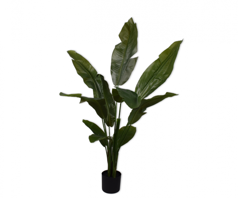 Kunstplant Strelitzia met groene bladeren 150 cm