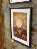 Art print met zwarte houten lijst - Birds by night - B40 x H50 cm