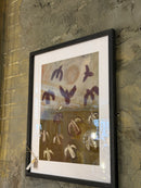 Art print met zwarte lijst - Sunbirds - B40 x H50 cm