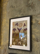 Art print met zwarte lijst - Sunbirds - B40 x H50 cm