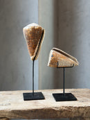 Bruine schelp op voet staand - H28 cm