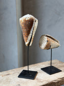 Bruine schelp op voet staand - H28 cm