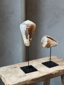 Bruine schelp op voet staand - H28 cm