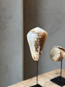 Bruine schelp op voet staand - H28 cm