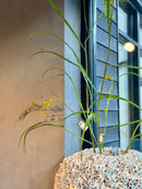 Groene XXL kunsttak gras - 156 cm