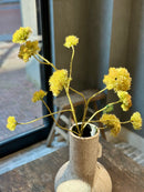 Groene tak met mosbollen groenbruin - 90 cm