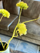 Groene tak met mosbollen groenbruin - 90 cm