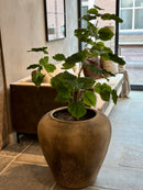 Groene kunstplant met grote bladeren 120 cm