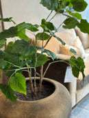 Groene kunstplant met grote bladeren 120 cm