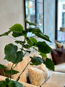 Groene kunstplant met grote bladeren 120 cm