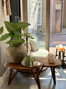 Groene Alocasia kunstplant 81 cm