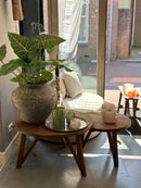 Groene Alocasia kunstplant 81 cm