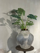 Authentieke stenen waterkruik - H48 x D40 cm