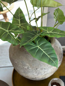 Groene Alocasia kunstplant 81 cm