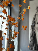 Kunsttak Mimosa met oranje bolletjes - 157 cm