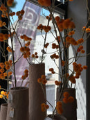 Kunsttak Mimosa met oranje bolletjes - 157 cm