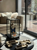 XXL vitrine met kleurrijke vlinders - 18x18x35 cm