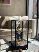 XXL vitrine met kleurrijke vlinders - 18x18x35 cm