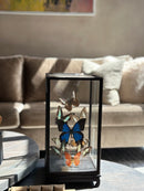 XXL vitrine met kleurrijke vlinders - 18x18x35 cm