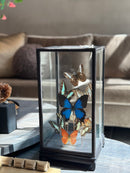 XXL vitrine met kleurrijke vlinders - 18x18x35 cm