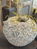 XXL witte koraal-vaas - H50 x D 40 cm