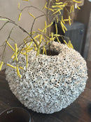 XXL witte koraal-vaas - H50 x D 40 cm