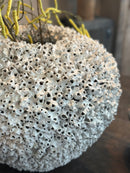 XXL witte koraal-vaas - H50 x D 40 cm