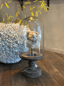 Houten stolp op voet - D21 x H50 cm