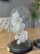 Stolp met zand dollar schelpjes - D17 x H29 cm