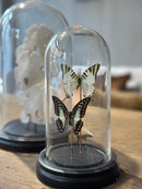 Stolp met zwarte en groen/witte vlinders - D12 x H22 cm