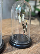 Stolp met zwarte en groen/witte vlinders - D12 x H22 cm