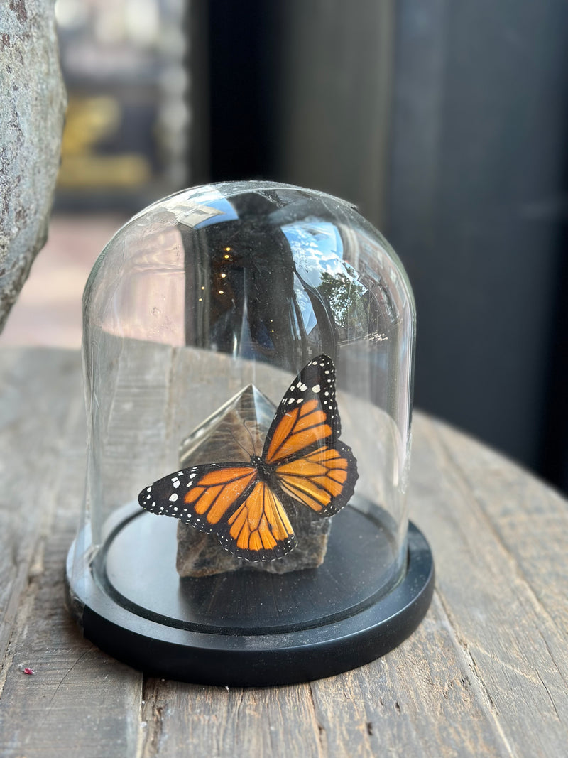 Stolp met oranje vlinder op marmeren steen - D16 x H17 cm