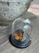 Stolp met oranje vlinder op marmeren steen - D16 x H17 cm