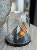 Stolp met oranje vlinder op marmeren steen - D16 x H17 cm