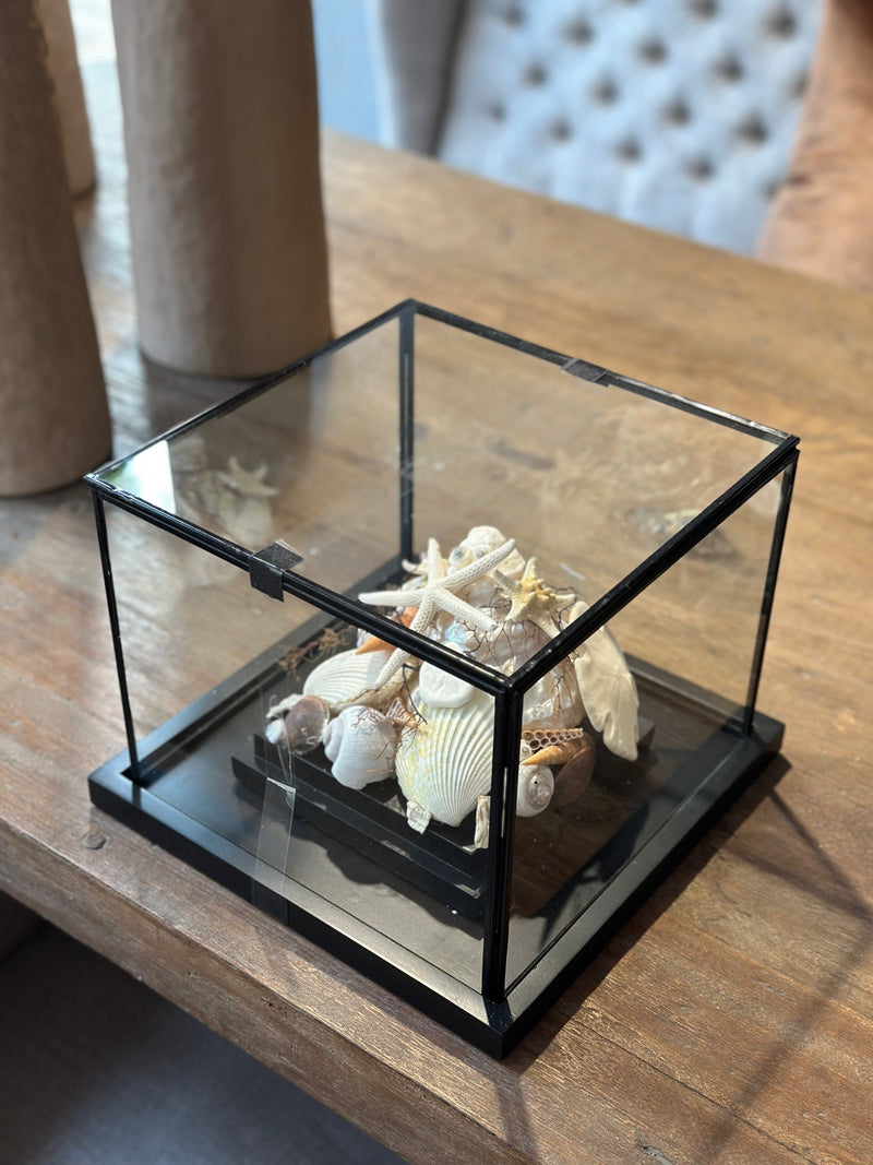 Vitrine 'zeezicht' met schelpjes en parels - 28x28x22 cm
