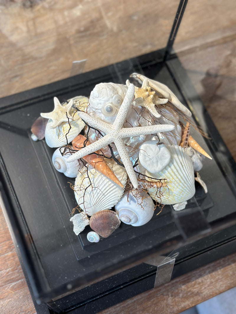 Vitrine 'zeezicht' met schelpjes en parels - 28x28x22 cm