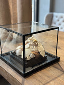 Vitrine 'zeezicht' met schelpjes en parels - 28x28x22 cm