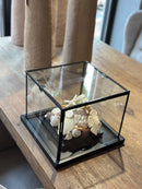 Vitrine 'zeezicht' met schelpjes en parels - 28x28x22 cm