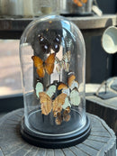 Stolp met 8 oranje, zwarte en witte  vlinders - D17 x H28 cm