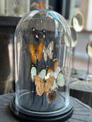 Stolp met 8 oranje, zwarte en witte  vlinders - D17 x H28 cm