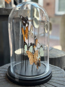 Stolp met 8 oranje, zwarte en witte  vlinders - D17 x H28 cm