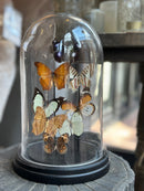 Stolp met 8 oranje, zwarte en witte  vlinders - D17 x H28 cm