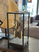 Vitrine met 2 bruine vlinders - 17x17x36 cm