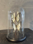 Vlinderstolp met 2 witte vlinders – D12 x H21 cm