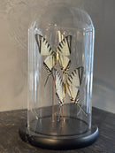 Vlinderstolp met 2 witte vlinders – D12 x H21 cm