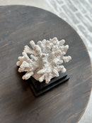 Wit koraal takken ornament – 16x17x20 cm