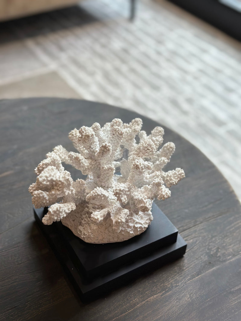 Wit koraal takken ornament – 16x17x20 cm