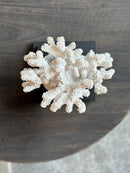 Wit koraal takken ornament – 16x17x20 cm