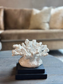 Wit koraal takken ornament – 16x17x20 cm